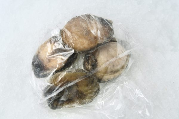 Abalone meat in package