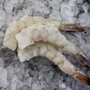 Frozen Wild Mexican 16 20 Shrimp