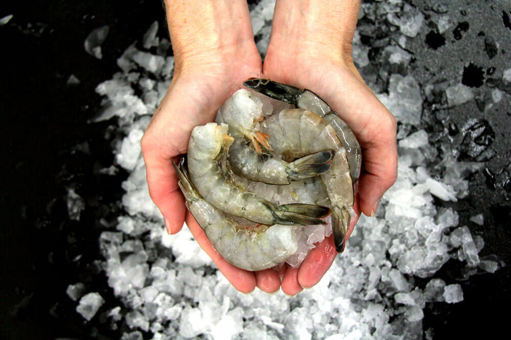 Shellfish Catalina Offshore Online Fish Market