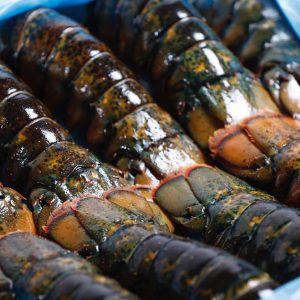 Canadian lobster tails