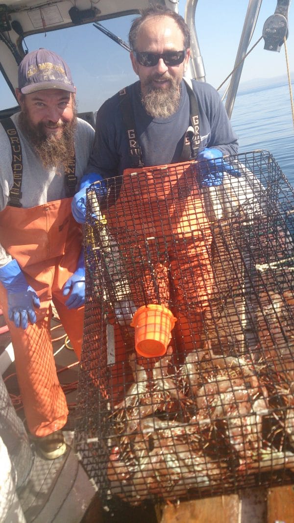 Meet The Spot Prawns Fisherman Andy Saraspe Catalina Offshore